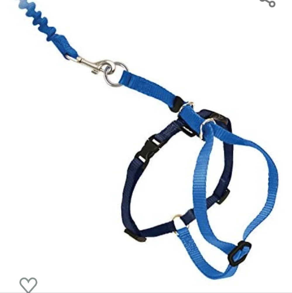 Cat harnesses